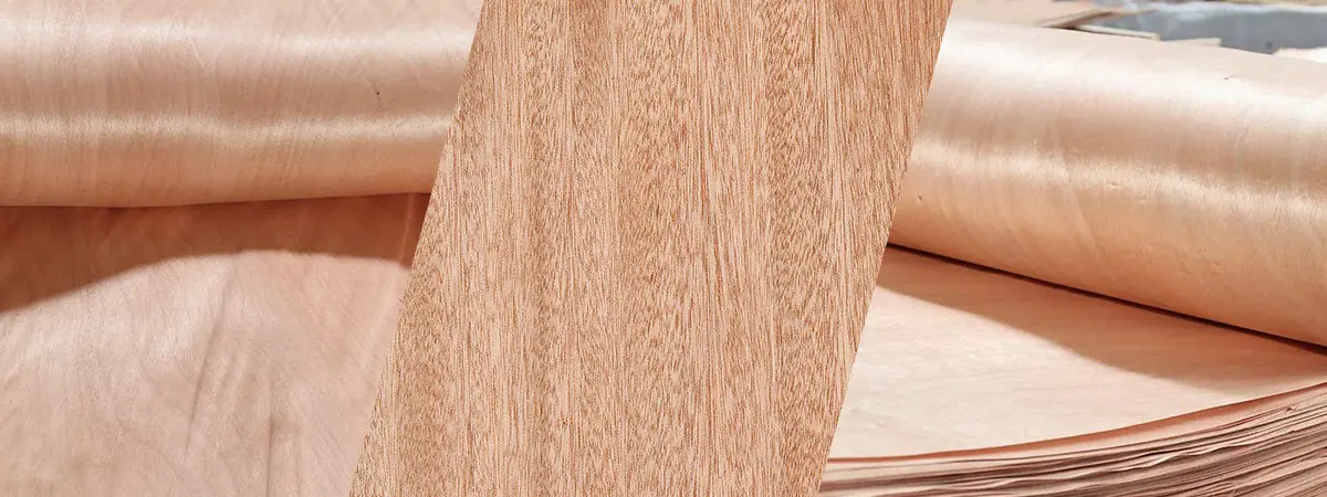 Primo piano di un'impiallacciatura di Okoume che mostra la sua texture liscia e le venature naturali del legno.