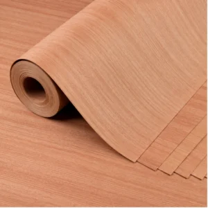Bintangor veneer sheet with natural wood grain used for plywood and furniture surface applications.